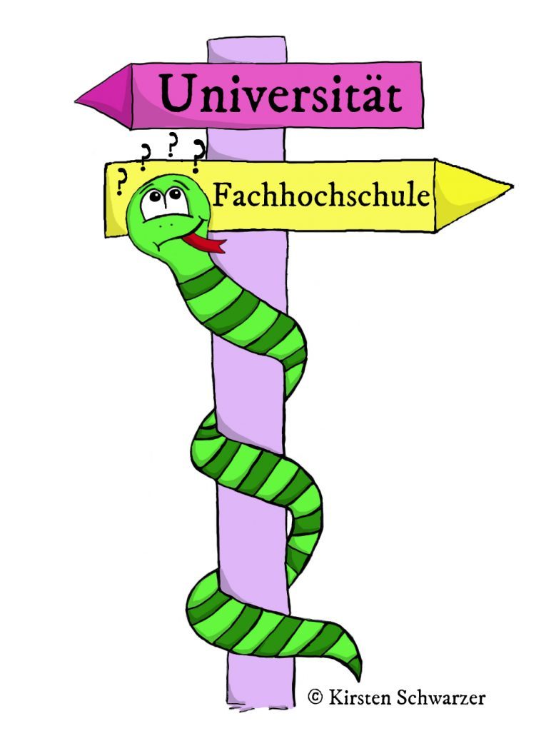 Eine gezeichnete Szene aus dem Uni-Dschungel. Die grün geringelte Uni-Dschungel-Schlange windet sich um einen lilafarbenen Wegweiser, der in zwei verschiedene Richtungen zeigt, zur Fachhochschule und zur Universität. Die Schlange ist sichtlich verwirrt, da sie eine kniffelige Entscheidung treffen muss. Genauer gesagt steht die Qual der Hochschulwahl an: Universität oder Fachhochschule? Welche Hochschule ist die Richtige?