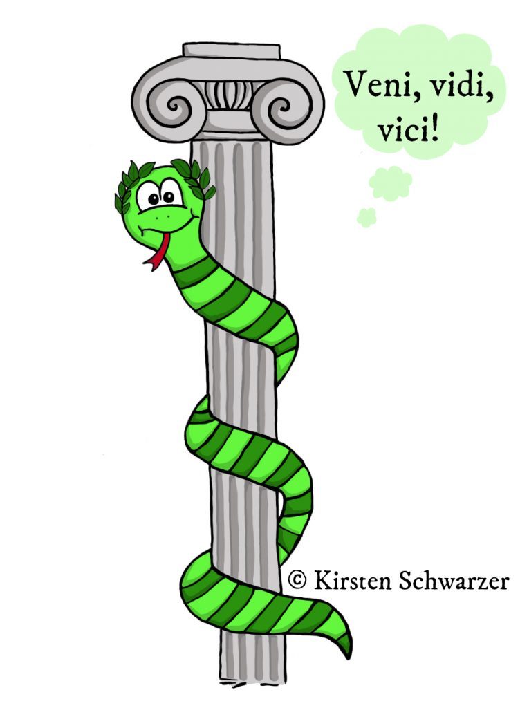 Eine gezeichnete Szene aus dem Uni-Dschungel. Die grün geringelte Uni-Dschungel-Schlange windet sich um eine graue ionische Säule. Sie trägt einen Lorbeerkranz auf dem Kopf, hat einen aufgeweckten Gesichtsausdruck und freut sich schon auf ihr Auslandssemester. In einer Gedankenblase steht „Veni, vidi, vici!“