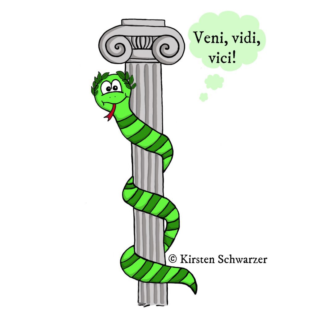 Eine gezeichnete Szene aus dem Uni-Dschungel. Die grün geringelte Uni-Dschungel-Schlange windet sich um eine graue ionische Säule. Sie trägt einen Lorbeerkranz auf dem Kopf, hat einen aufgeweckten Gesichtsausdruck und freut sich schon auf ihr Auslandssemester. In einer Gedankenblase steht „Veni, vidi, vici!“